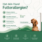Futtersallergie Analyse Hund