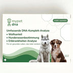 DNA Premium-Komplettanalyse