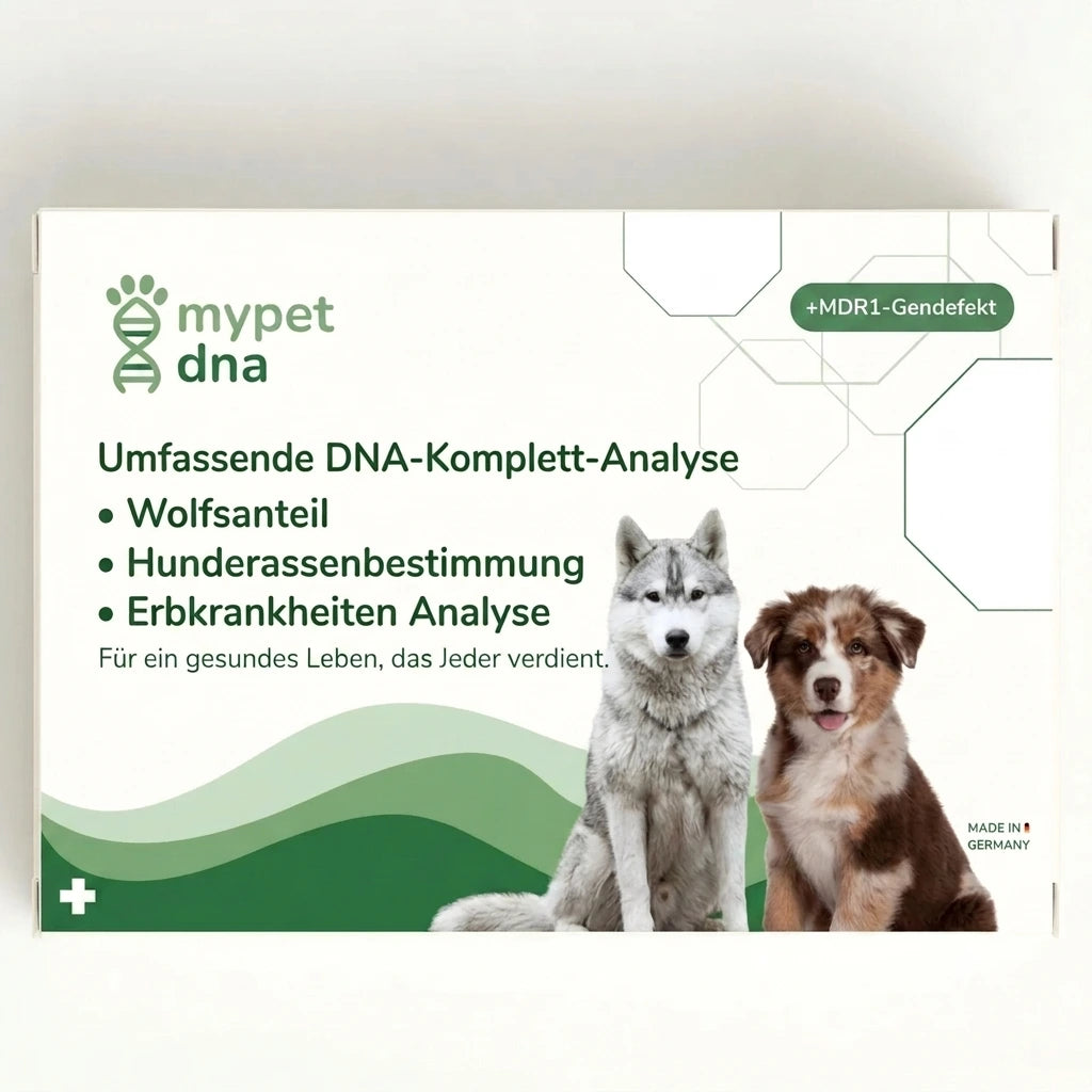 DNA Premium-Komplettanalyse