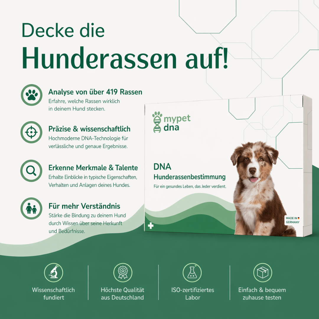 Decke die Hunderassen auf