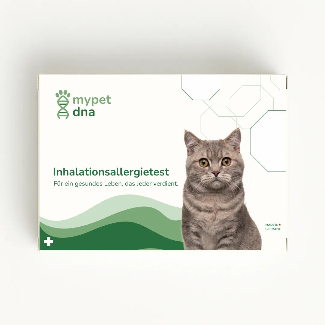 mypet dna Inhalationsallergietest für Katzen – Produktverpackung mit grünem Design und Katze