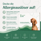 Inhallationsallergie Analyse Hund
