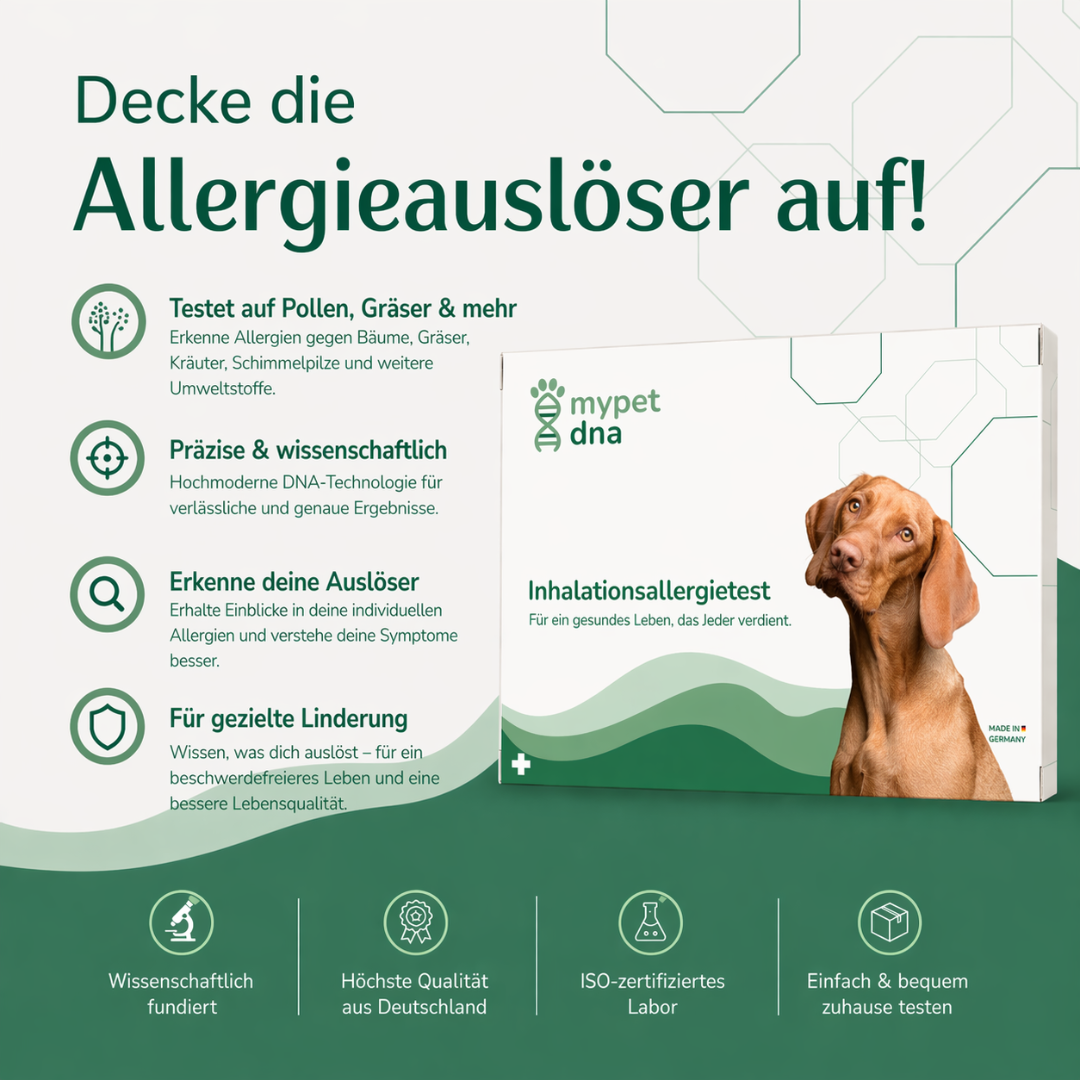 Inhallationsallergie Analyse Hund