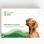Mikrobiom Analyse - Hunde