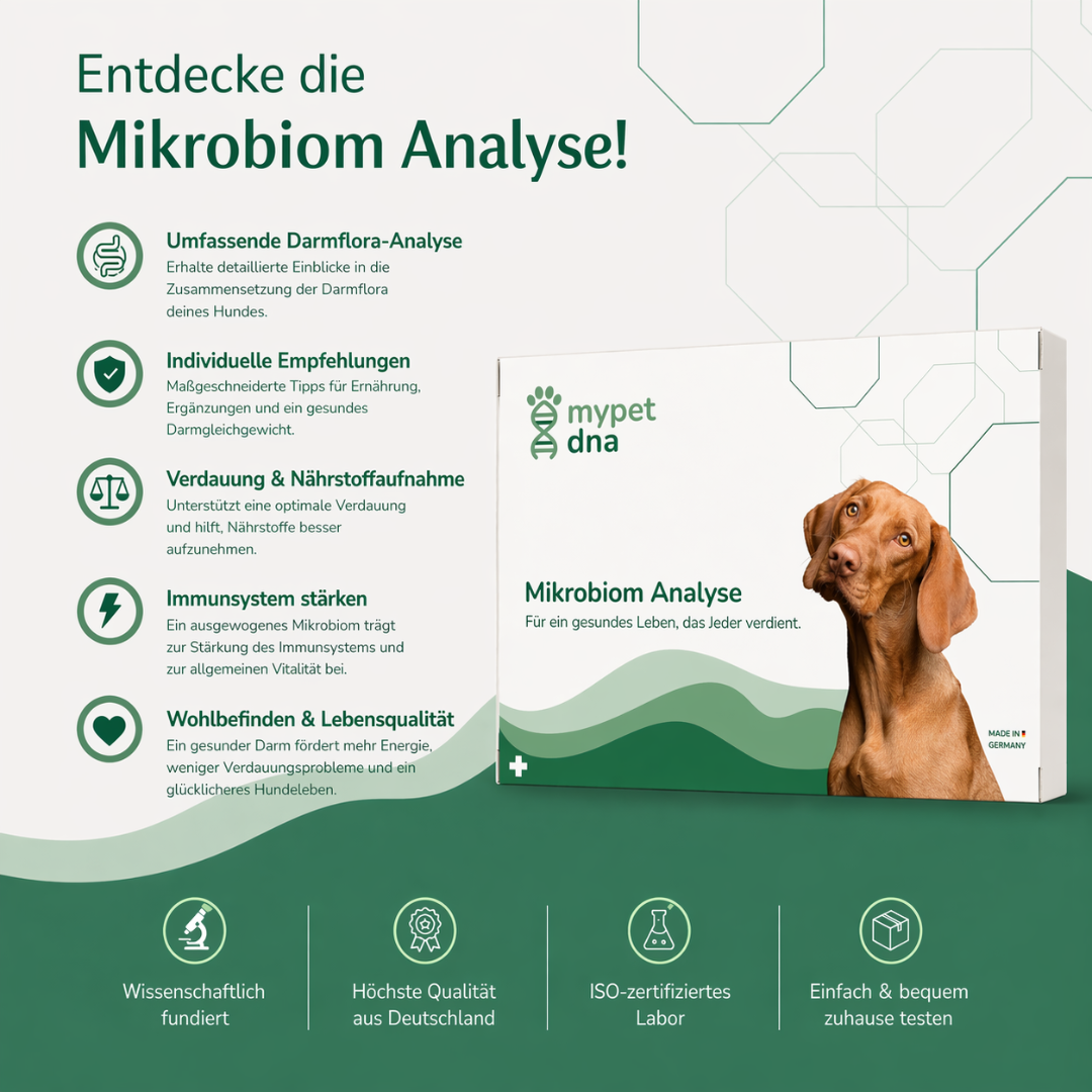 Mikrobiom Analyse Hund