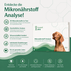 Mikronährstoff Analyse Hund