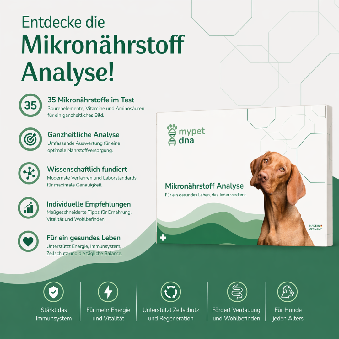 Mikronährstoff Analyse Hund
