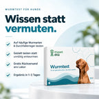 Wurmtest Plus - Hunde