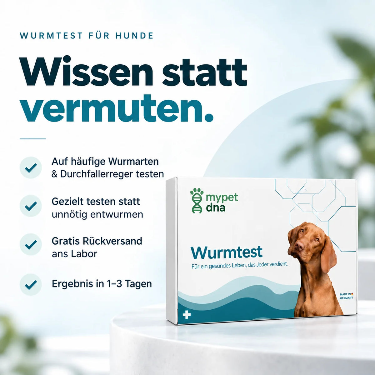 Wurmtest Plus - Hunde
