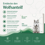Decke den Wolfsanteil auf