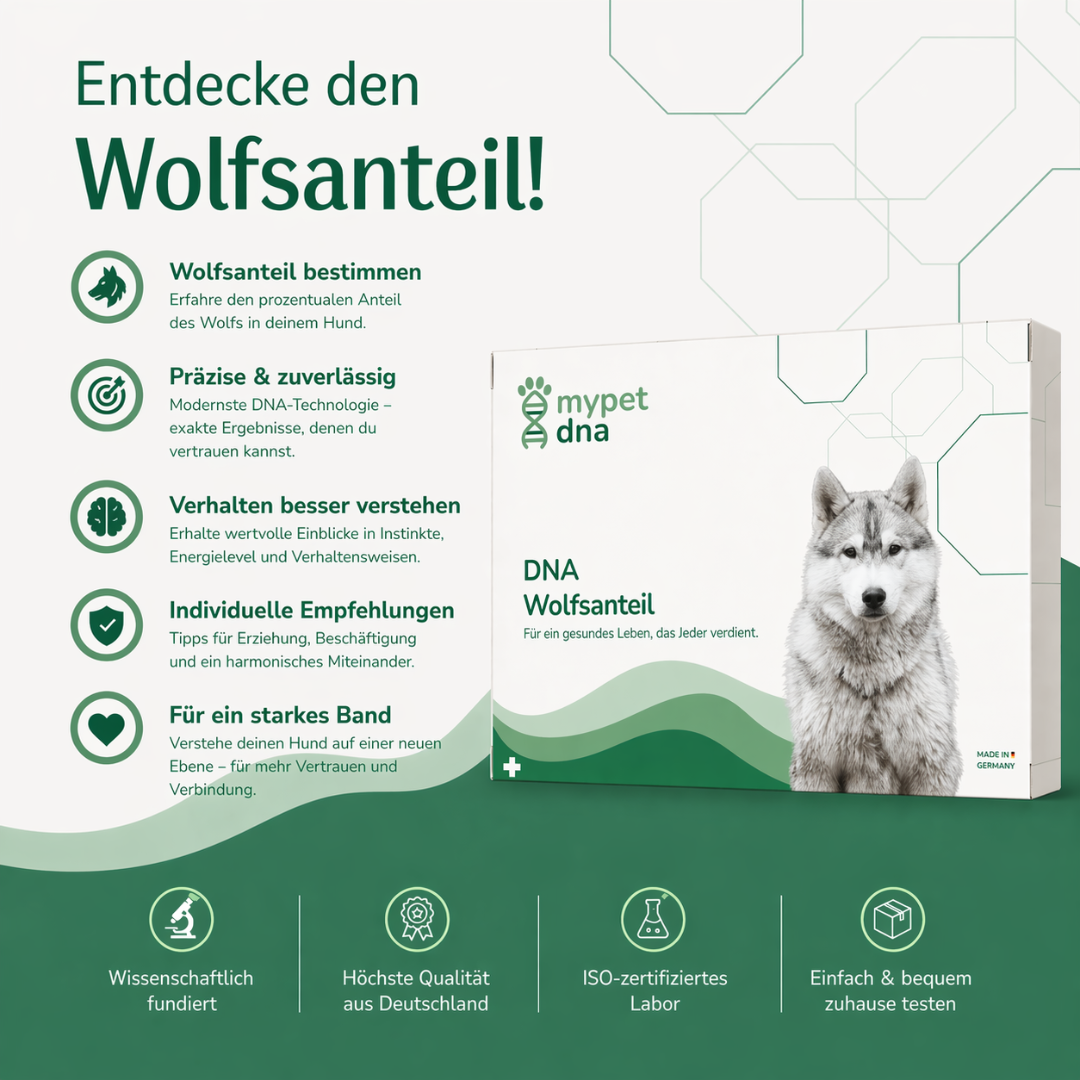Decke den Wolfsanteil auf