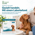 Wurmtest Plus - Hunde