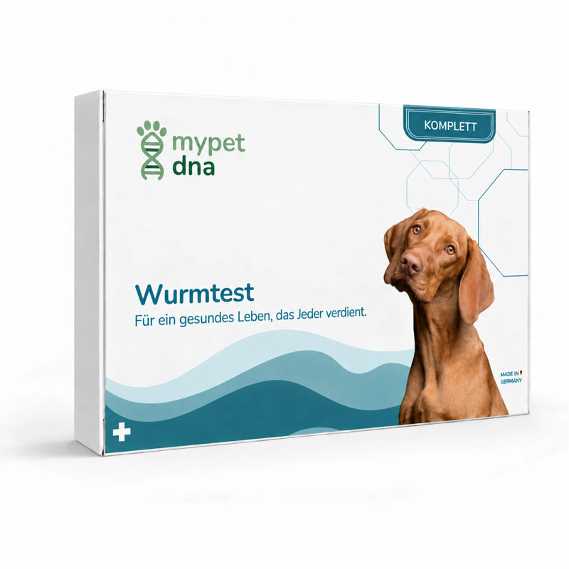 Wurmtest Komplett - Hunde