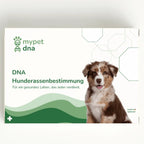 mypet dna Hunderassenbestimmung – Testkit-Verpackung mit Hund und modernem, grünem Design