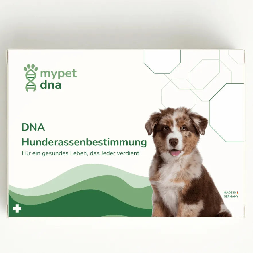 mypet dna Hunderassenbestimmung – Testkit-Verpackung mit Hund und modernem, grünem Design